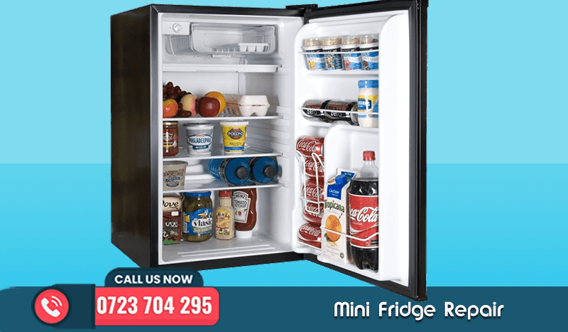 Mini Fridge / Refrigerator