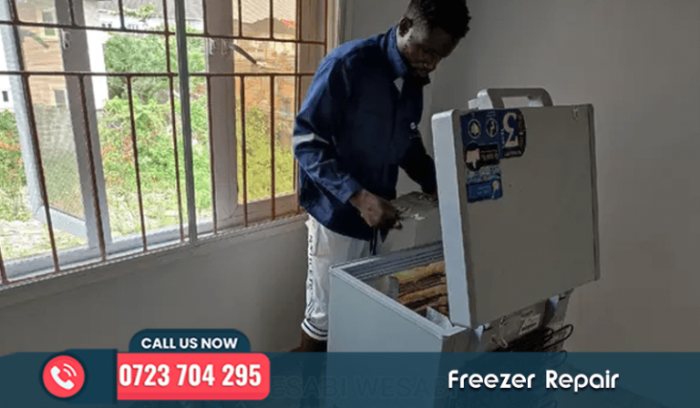 Deep Freezer Installation Services in Nairobi and Kenya